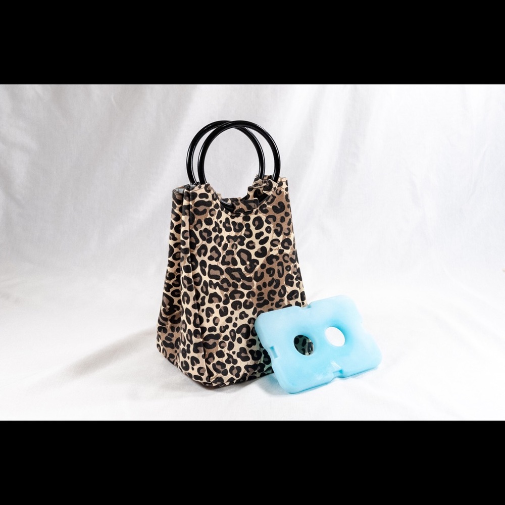 Lunch bag with icepack